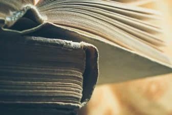 Тюленья кожа для средневековых книг: неожиданные открытия древности! 🦭📚