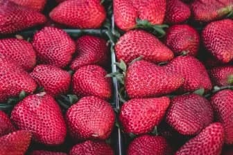 Японские роботы: будущее сбора клубники уже сегодня!