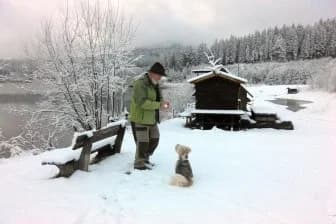 Теперь искусственный интеллект понимает наших собак! 🐶💬