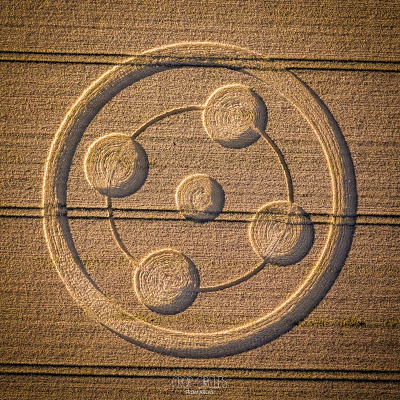 Загадочные рисунки на полях: что же они могут значить? 🌾🌌