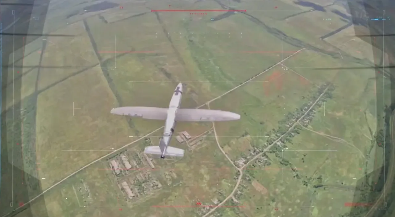 Украинский беспилотник Hornet в поле зрения российского перехватчика. Фото: Центр «Рубикон» / Минобороны РФ.