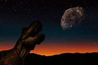 Динозавры: судьба, о которой мы не знали! 🦖