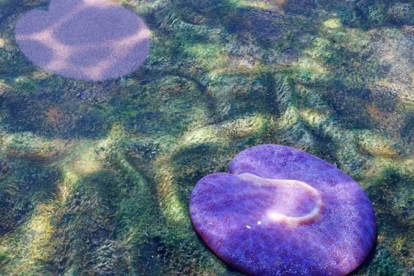 Ученые сделали невероятное открытие: древний пылесос морского дна!