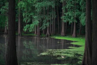 Новая эра в очистке воды: портативная система, способная изменить всё!