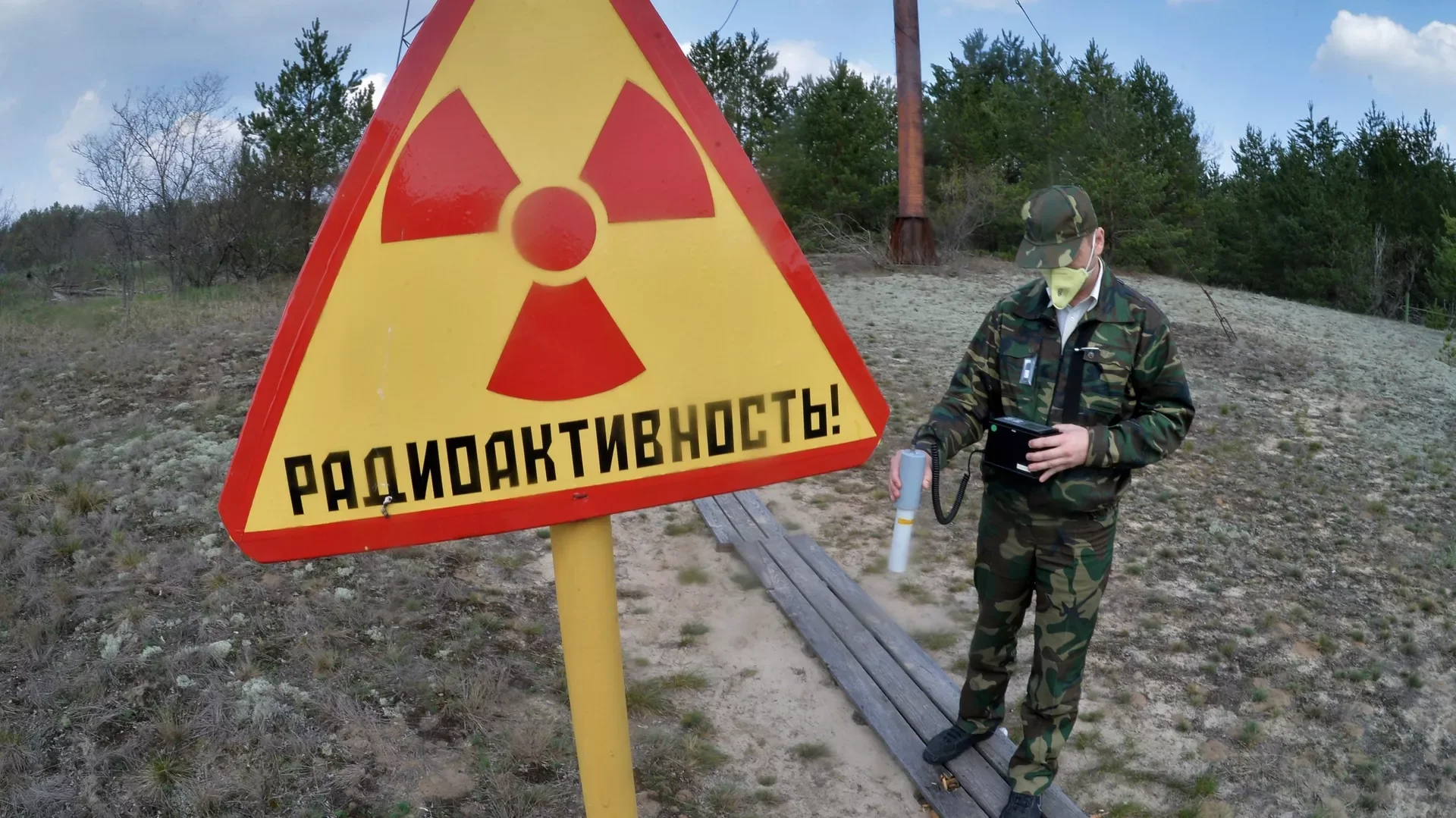 Как собаки, лягушки и черви удивляют ученых: неожиданные открытия в Чернобыльской зоне!