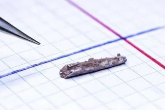 Как древние рыбы охотились на свою жертву? Удивительные открытия палеонтологов!