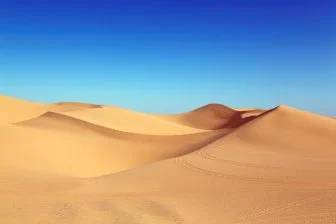 Невероятные находки: Древний сом, спрятанный в песках Сахары!