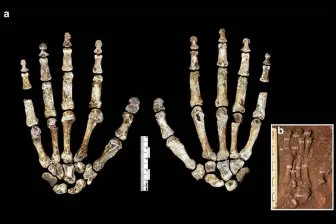 История, которую никогда не расскажут на уроках палеонтологии!
