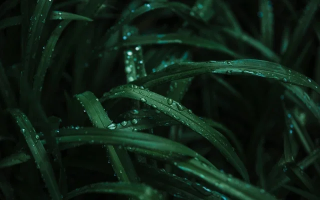 Как ученые из Китая вызвали дождь с помощью дронов! 🌧️✨