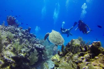 Китайские учёные сделали невозможное: передали звук под водой на 600 км! 🌊