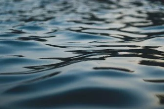 Закисление океана: Кричащий сигнал для человечества! 🌊⚠️