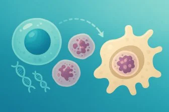 Как очистить организм от мёртвых клеток? Ученые нашли ключ к долголетию! 🔑🧬