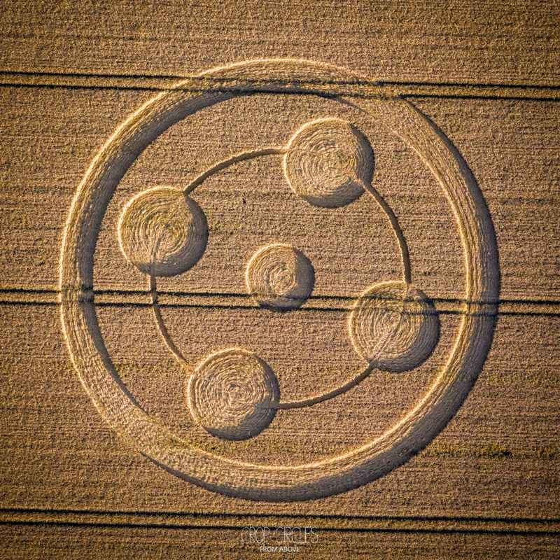 Загадочные рисунки на полях: что же они могут значить? 🌾🌌