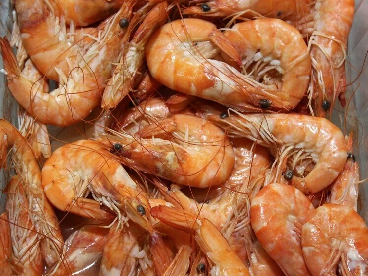 💥 Ученые обнаружили смертельный риск в морепродуктах! Узнай, как защититься! 🔍