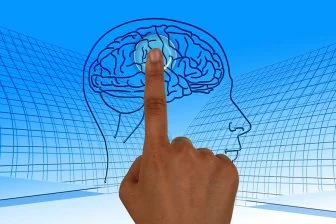 Как мозжечок формирует нашу эмпатию в детстве?