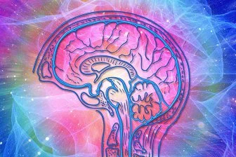 Как разговоры формируют наше мышление? Уникальные исследования нейробиологии