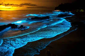 Светящиеся моря: Загадки, которые манят нас сквозь века! 🌊✨
