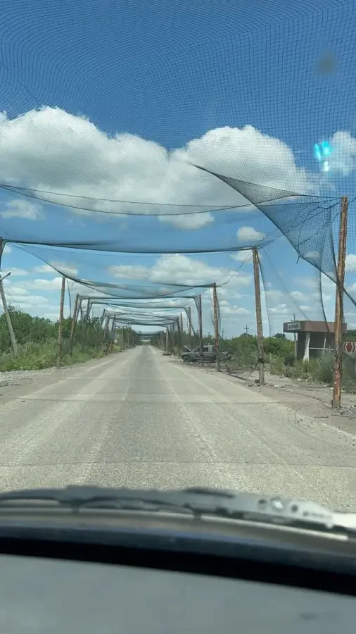 Ещё один пример прикрытия дорог сетями. Изображение colonelcassad.livejournal.com