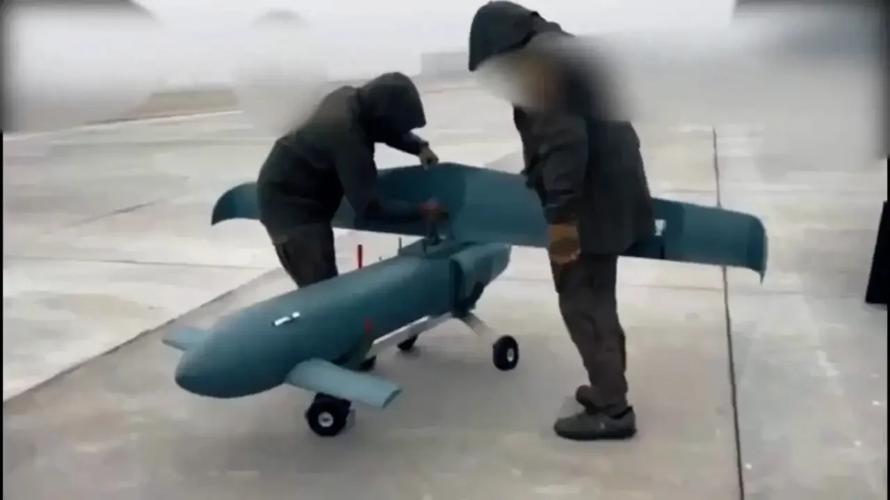 Зозуля в действии