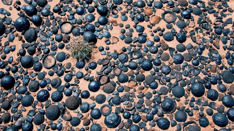 Загадочная каменная черника: невероятные находки на юге Юты 🌌