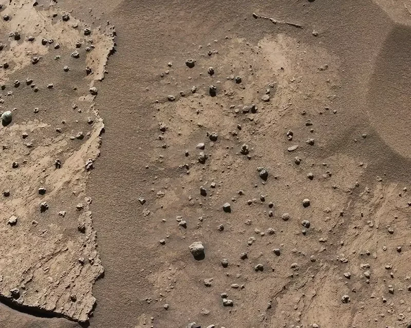 Марсианская черника