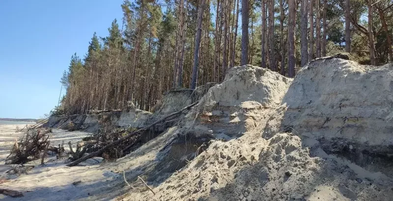 Береговое обнажение у поселка Куликово