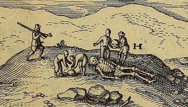 Древняя Антарктида: Иллюзия или Реальность? 🌎🤔