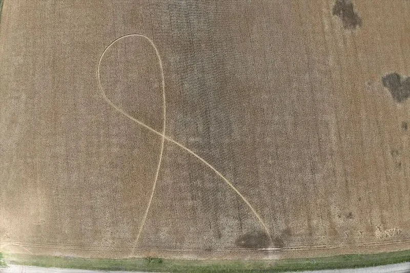 Исчезнувшие зёрна