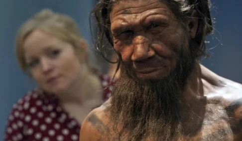 Неандертальцы: исчезли или стали частью нас? Как генетическое поглощение меняет наше понимание истории человечества