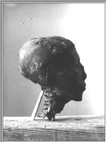 Обезглавленный фараон: шокирующие тайны величайшей археологической находки!