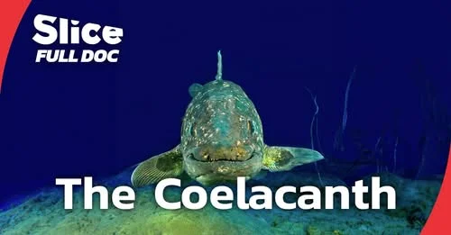 Древняя рыба в глубинах