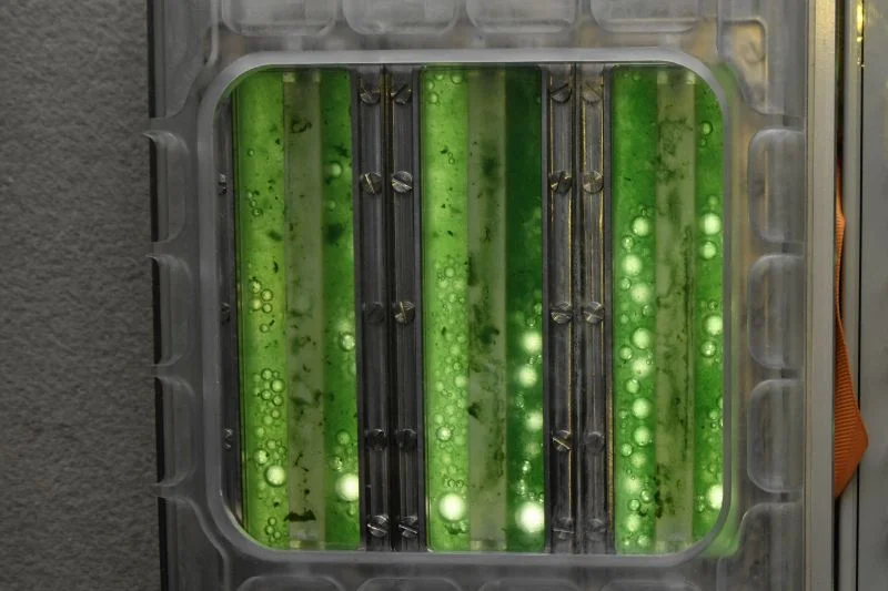 Фотобиореактор