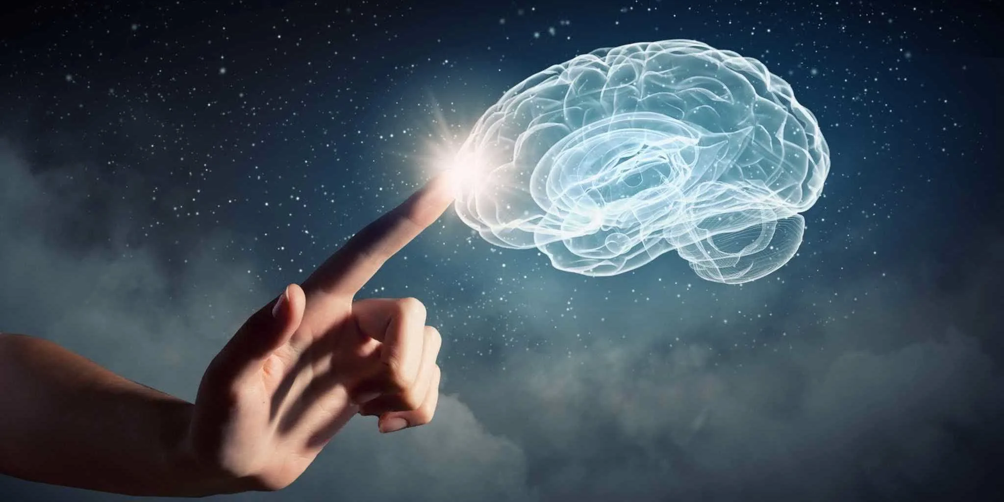 Мозг младенца