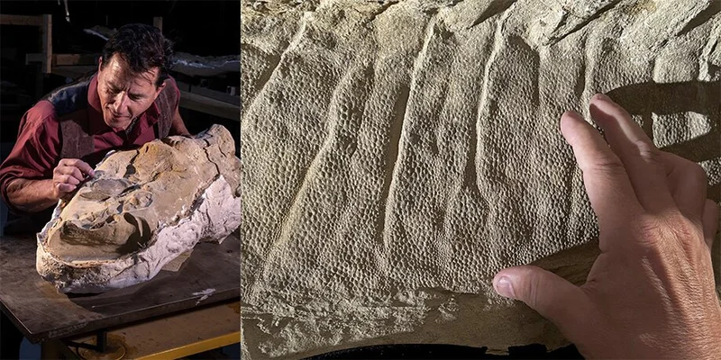 Эдмонтозавры с копытами