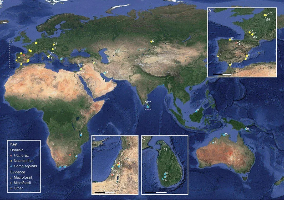 Археология против палеодиеты: как открытие прошлого меняет наше представление о пище!