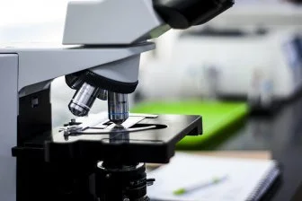 Микробный предок