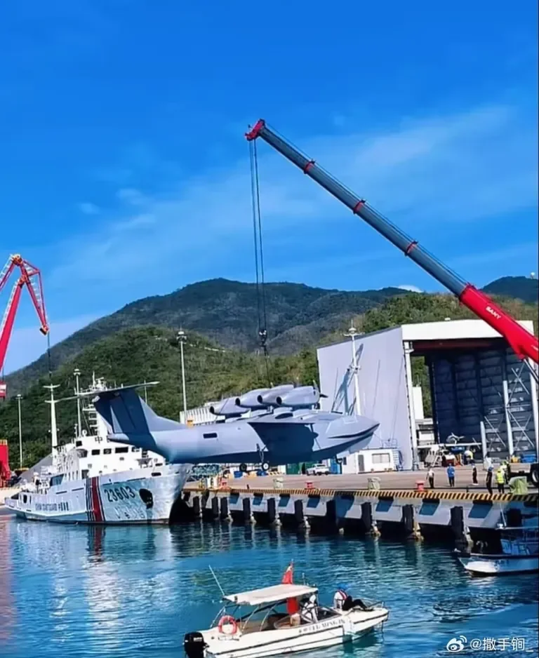На одном из недавно появившихся снимков «Бохайского морского монстра» его поднимают с помощью крана