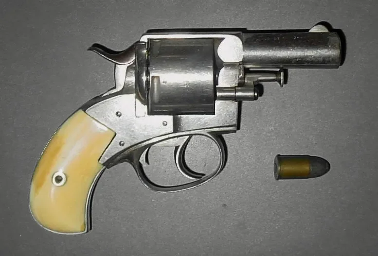 Webley