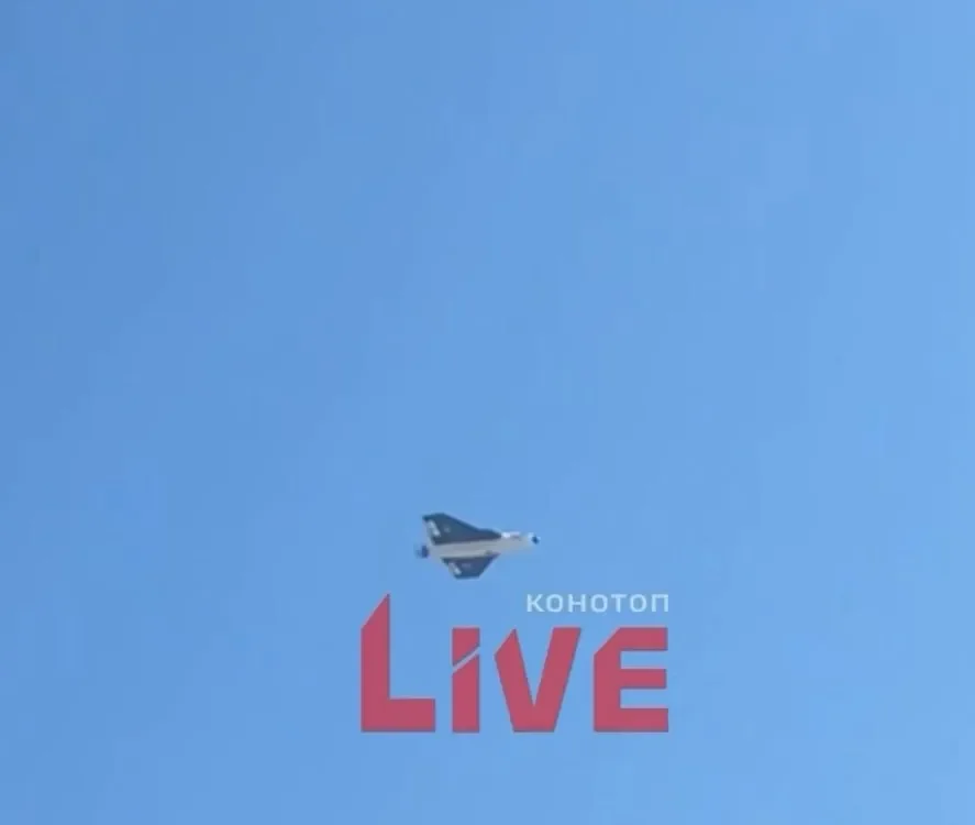 «Гербера-сикер» пролетает над н. п. Кролевец. Фото Telegram / «Военный осведомитель»