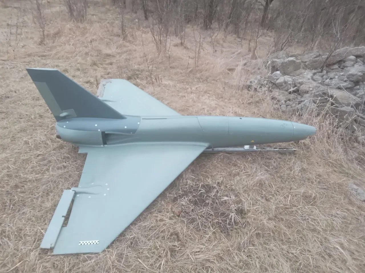 Banshee Jet 80+ иностранного производства (аналог, иллюстративно)