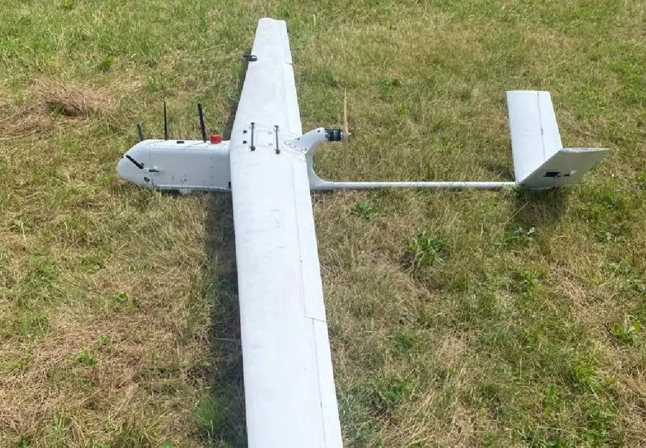 Сбитый БПЛА Т-10